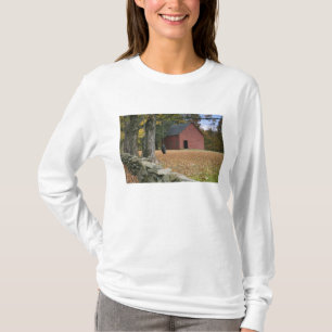 T-shirt Balançoire en pneu le long d'une route dans le sud