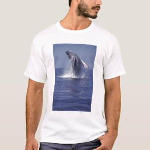T-shirt Baleine à bosse faisant une cabriole (Megaptera