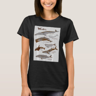 T-shirt Baleines Espèces Baleines Mammifères marins Mammif