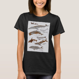 T-shirt Baleines Espèces Baleines Mammifères marins Mammif