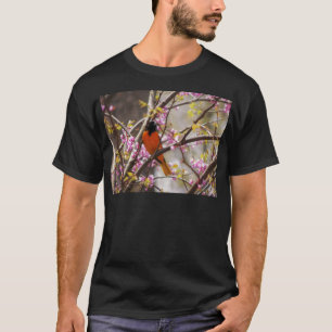T-shirt Baltimore Oriole
