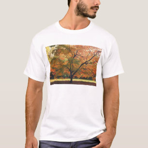T-shirt Beau arbre d'automne