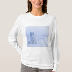 T-shirt Beau renard arctique