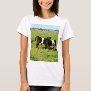 T-shirt Bébé Belted Vaches Galloway Dans Le Pays,
