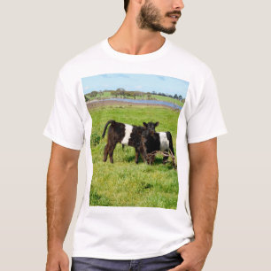 T-shirt Bébé Belted Vaches Galloway Dans Le Pays,