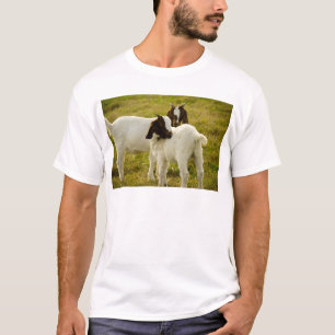 T-shirt Bébés chèvres mignons dans un pâturage