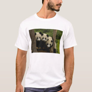 T-shirt Bébés pandas géants (Ailuropoda melanoleuca)