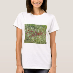 T-shirt Bee Balm (Bergamont) en août