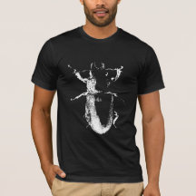 Beetle