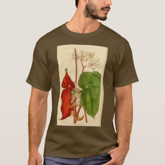 T-shirt Bégonia sanguinea