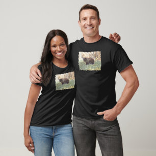 T-shirt Belle Ours Noir