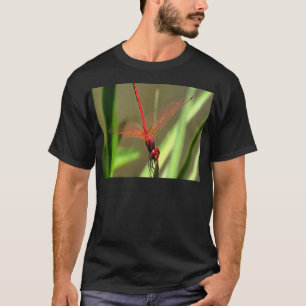 T-shirt Belle peinture acrylique de libellule de fût