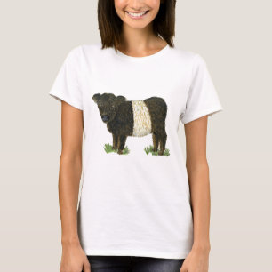 T-shirt "Beltie" Galloway ceinturé