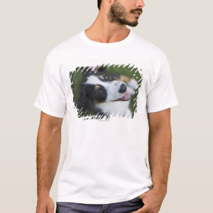 T-shirt Berger australien se tenant sur les jambes de