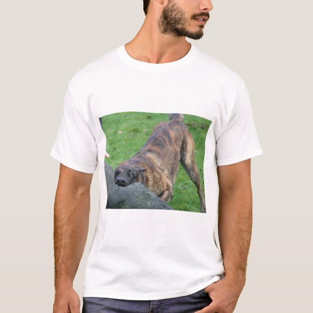 T-shirt Berger néerlandais (Devant)