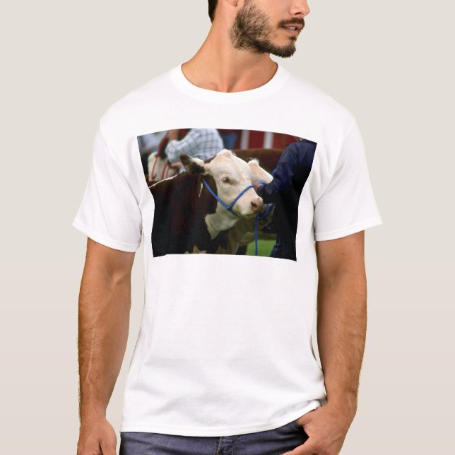 T-shirt Bétail de Hereford (Devant)