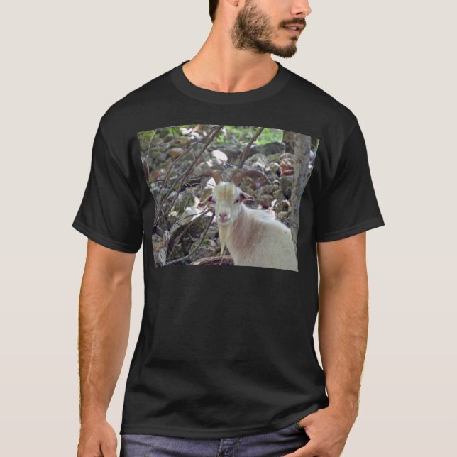 T-shirt Billy Goat (Devant)