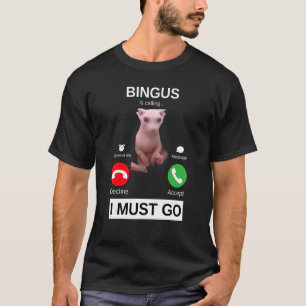 T-shirt Bingus Appelle Un Mème Sphynx Sans Cheveux