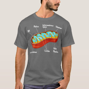 T-shirt Biologie cellulaire Mitochondrie Biologiste Scienc