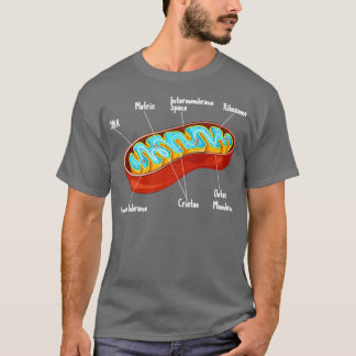 T-shirt Biologie cellulaire Mitochondrie Biologiste Scienc
