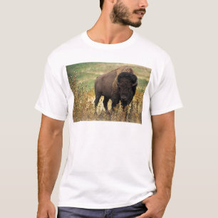 T-shirt Bison américain