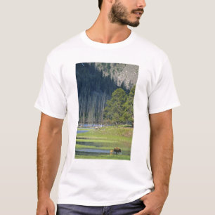 T-shirt Bison avec son veau au Parc national de Yellowston