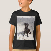Black dog avec evil eye