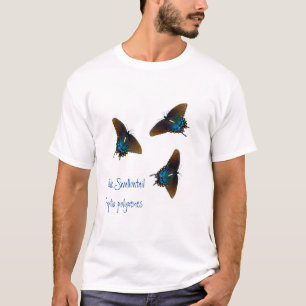 T-shirt Black Swallowtail