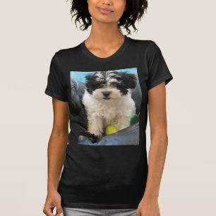 T-shirt Blanc de noir de chiot de délivrance de Havanese
