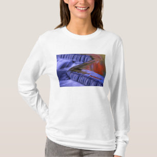 T-shirt Bond Falls; reflets de feuilles colorées d'automne