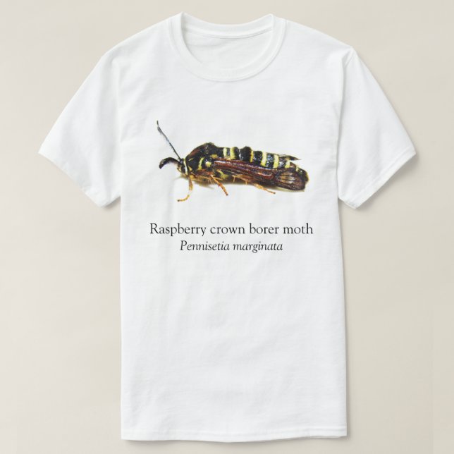 T-shirt Bordre de la Couronne de framboise BOYB (Design devant)