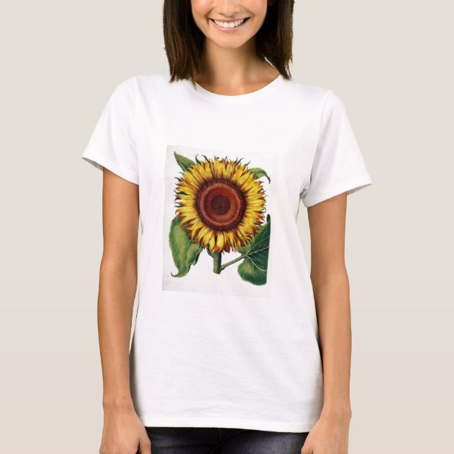 T-shirt Botanique vintage - tournesol, (Devant)
