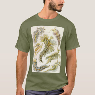 T-shirt Boues de mer par Ernst Haeckel, Nudibranchia Vinta