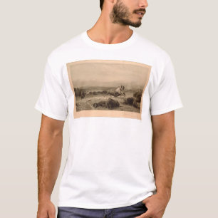 T-shirt Bout de Buffalo Bierstadt (0137A) - non restauré