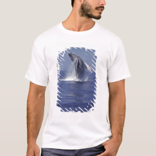 T-shirt Brassage de baleines à bosse (Megaptera