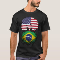 Brésil Brésil Amérique États-Unis drapeau des raci