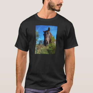 T-shirt Brown et crème Couleur Cheval bleu ciel
