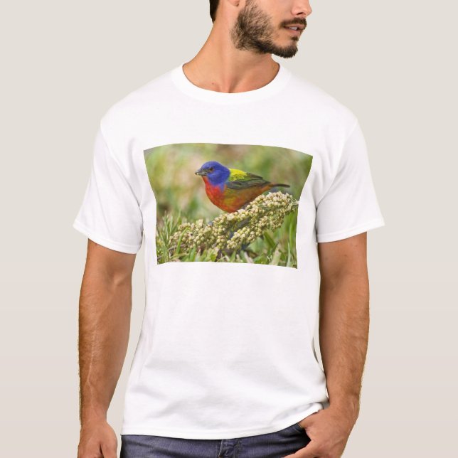 T-shirt Bruant à tête noire (Devant)