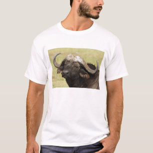 T-shirt Buffle d'Afrique, Syncerus caffer