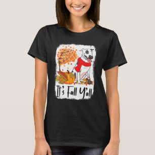 T-shirt Bull Terrier Chien Citrouille Automne Thanksgiving
