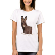 Burros sauvages pour toujours