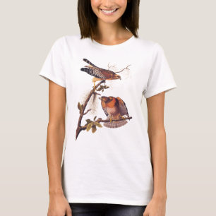 T-shirt Buse à épaulettes roux Audubon Oiseau de proie