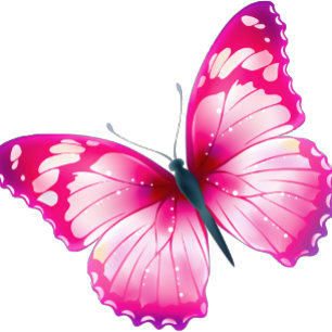 T-shirt Butterflie