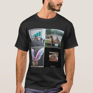 T-shirt C:\Users\DELL\Desktop\L28\L2288\Barry wood Meme fu