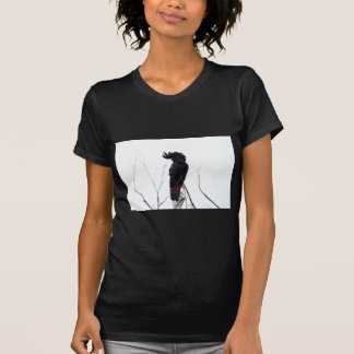 T-SHIRT CACATOÈS NOIR QUEENSLAND AUSTRALIE