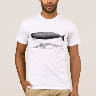 T-shirt Cachalot