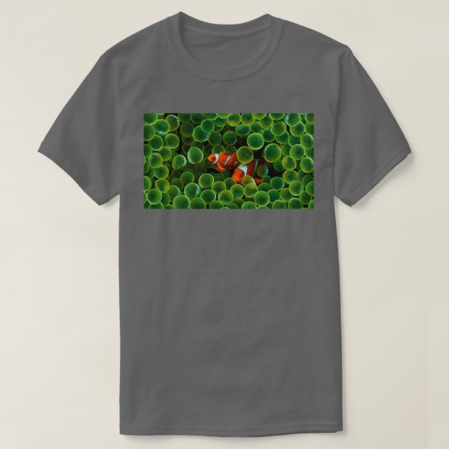 T-shirt cacher deux poissons clowns (Design devant)