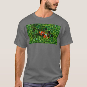 T-shirt cacher deux poissons clowns