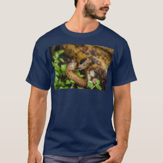 T-shirt Cacophis dorés squamulosus