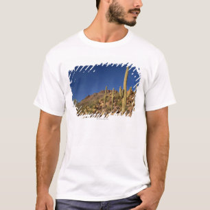 T-shirt Cactus de Saguaro et montagnes de Tucson, Tucson